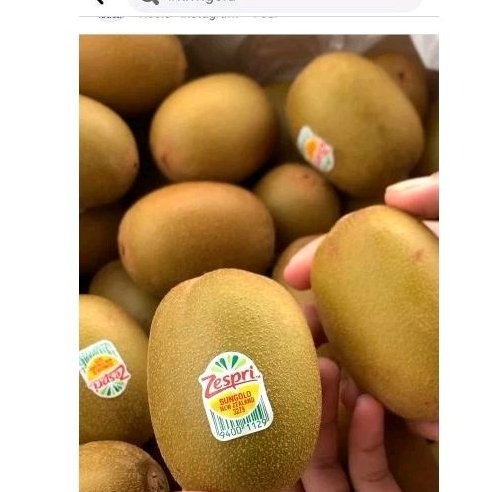 

Buah Kiwi Gold Manis