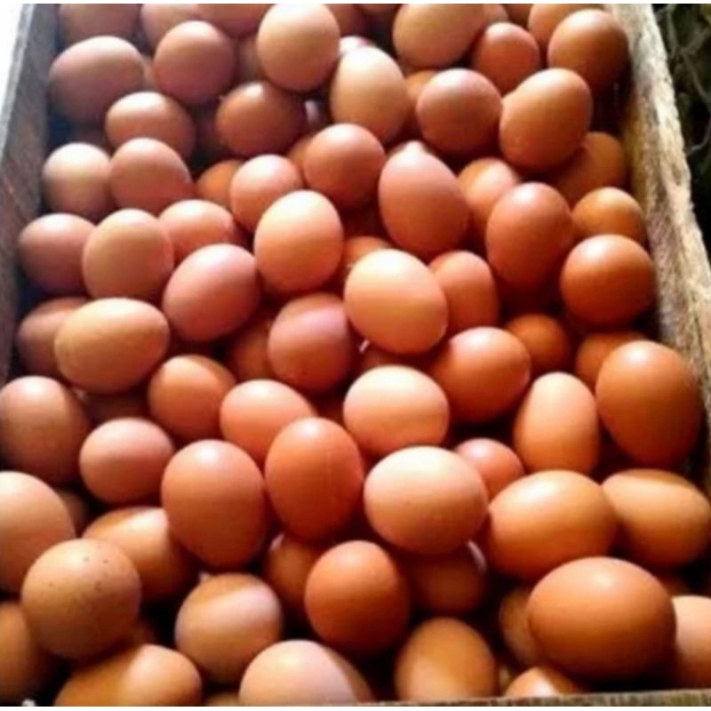 

Telur Ayam Mentah Berkualitas - 1 Kilogram