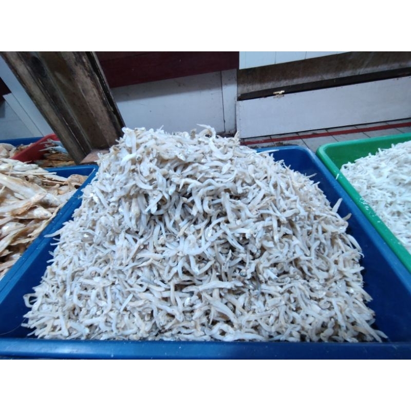 

ikan teri medan tawar