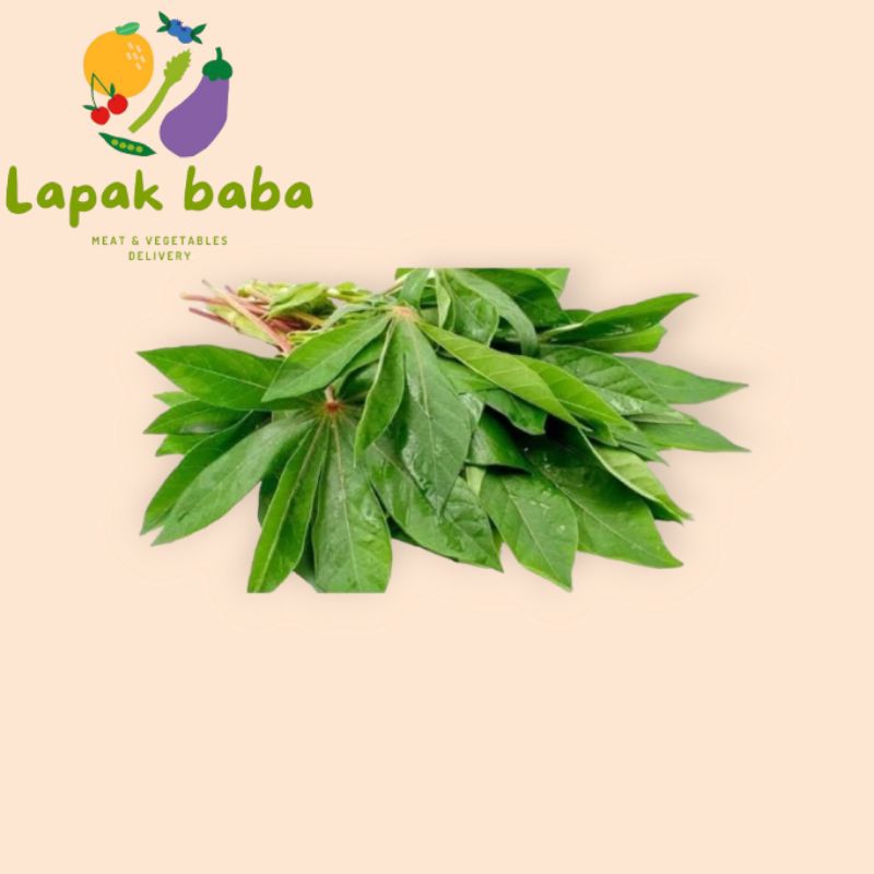 

DAUN SINGKONG 1 IKAT / SAYUR DAUN SINGKONG