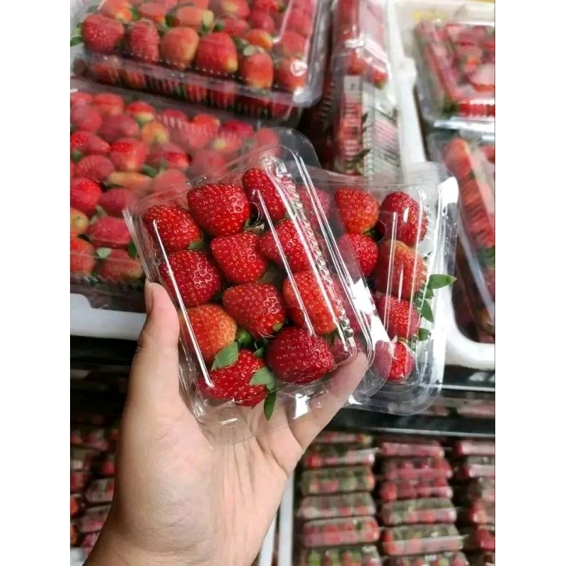 

STRAWBERRY KEMASAN EKONOMIS