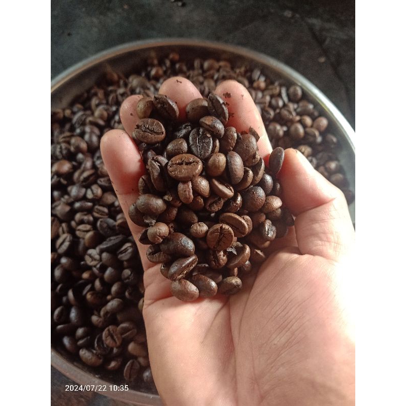 

kopi robusta bali