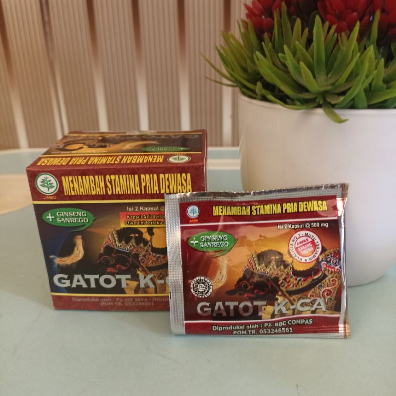 KAPSUL GATOT KACA (1 SACHET) OBAT KUAT OBAT TAHAN LAMA NUTRUSI PLUS PRIA DEWASA STAMINA + VITALITAS 