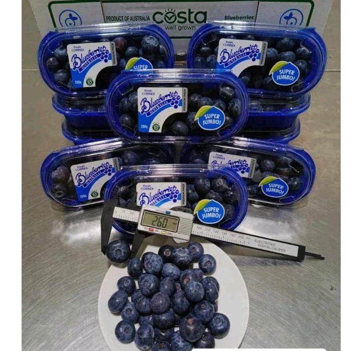 

Blueberry Australia Corrindi super jumbo 200grm / pack