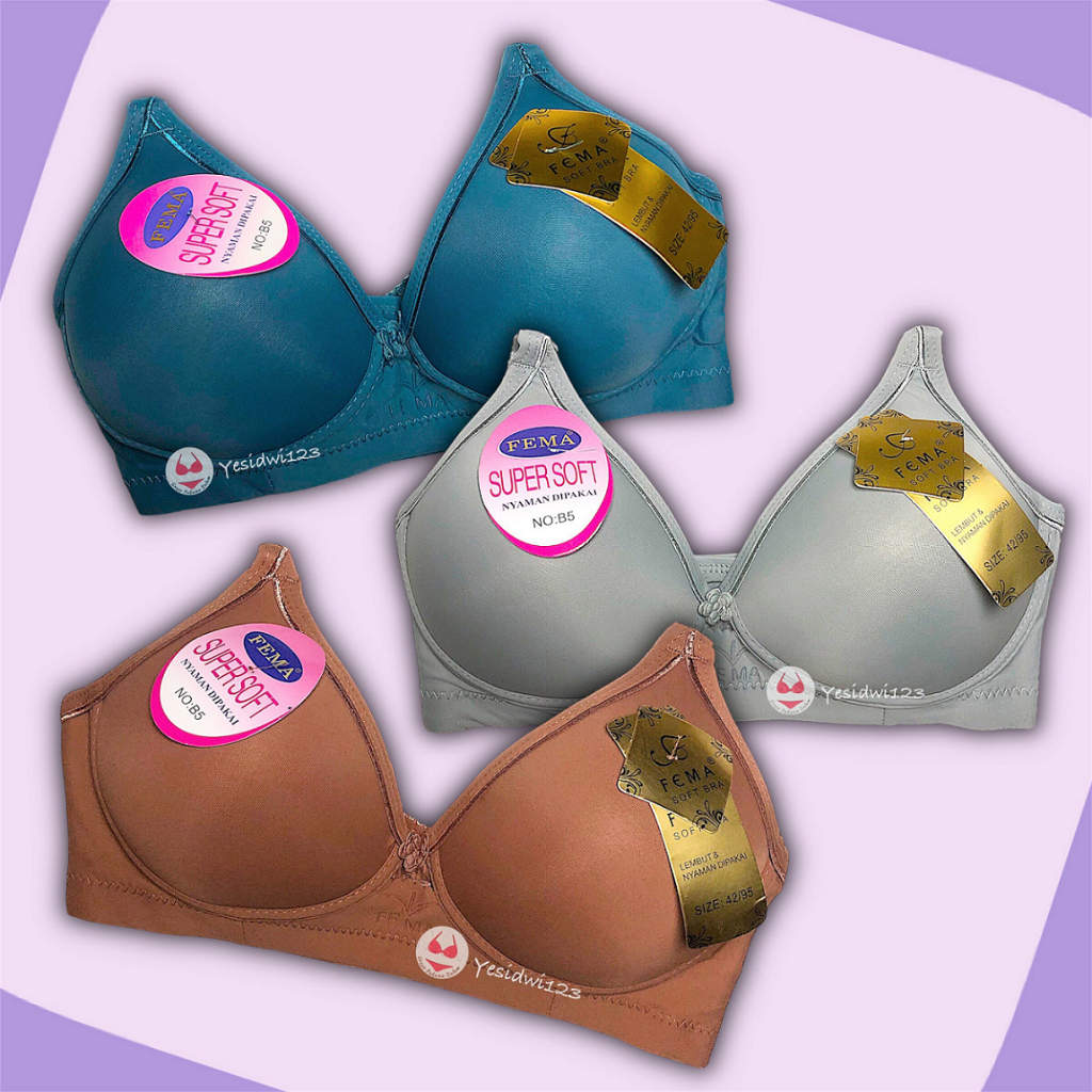 Bra BH Tanpa Kawat Busa Tipis Kait 3 Wanita Dewasa Nyaman Dipakai