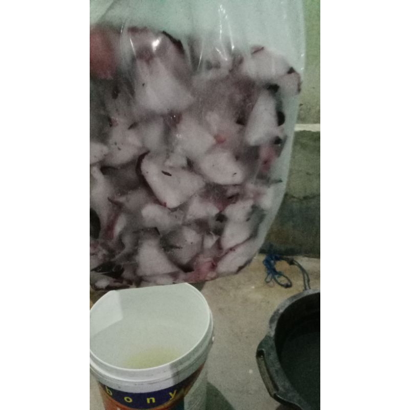 

potongan daging gurita