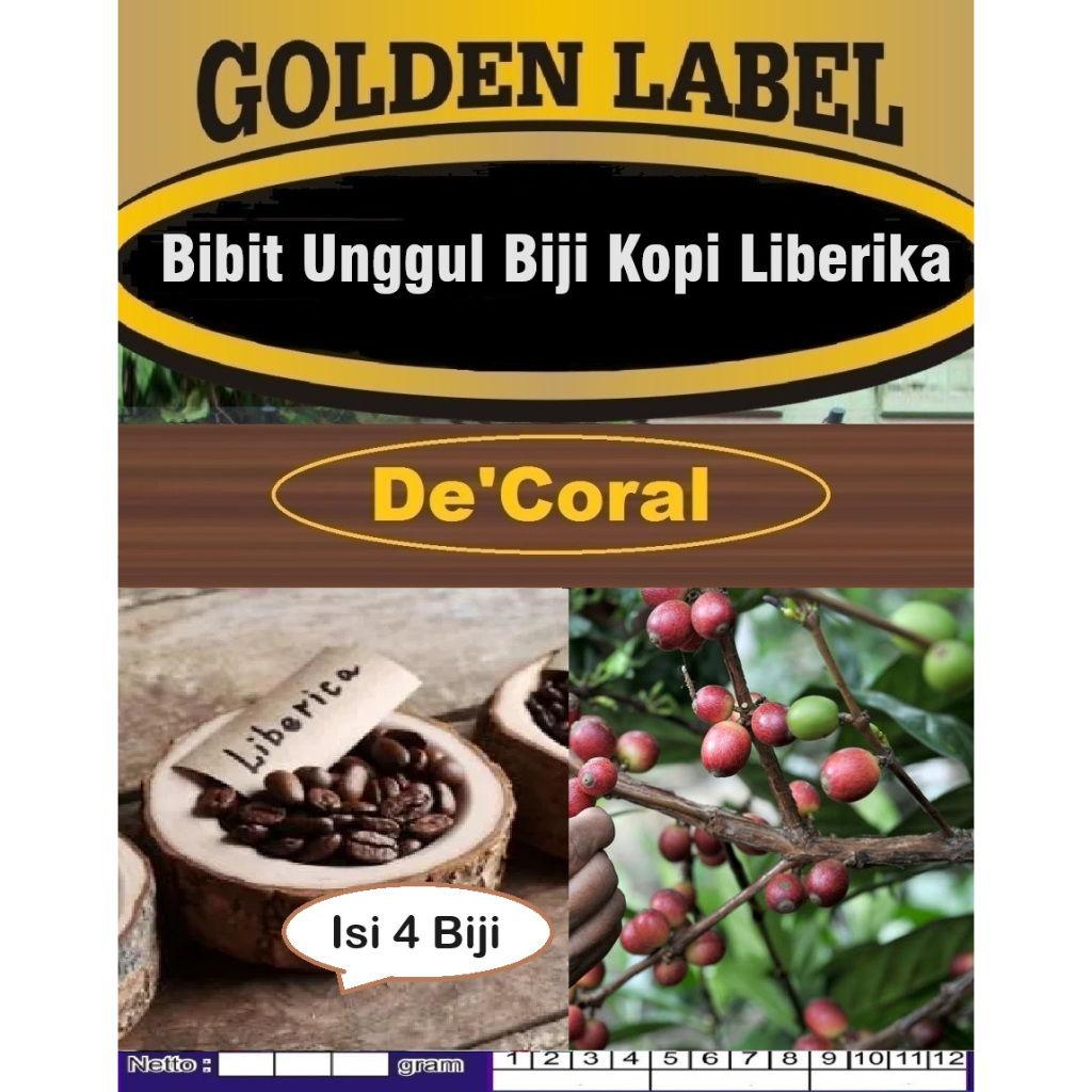 Bibit Unggul Biji Kopi Liberika | Biji Bibit Kopi Liberika | Biji Benih Kopi Liberica