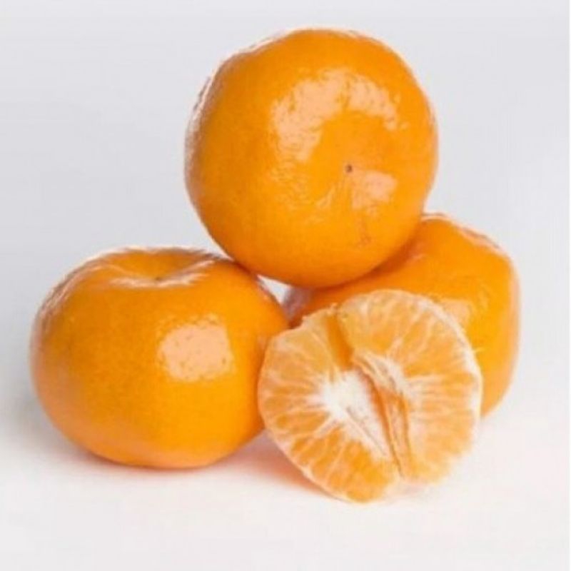 Jeruk mandarin wogan, jeruk Mandarin, jeruk wogan