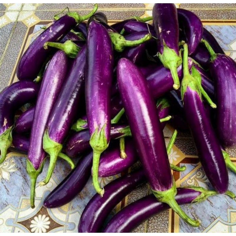 

terong ungu super segar fresh 500 gr