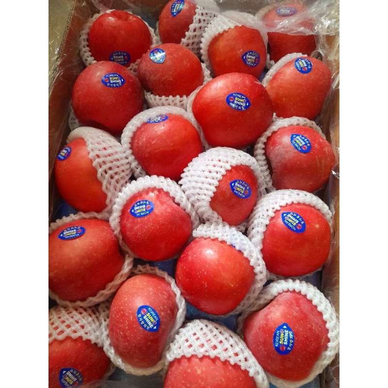

Apel Premium Korean Sun Shine Fresh /500gr ( manis kres)