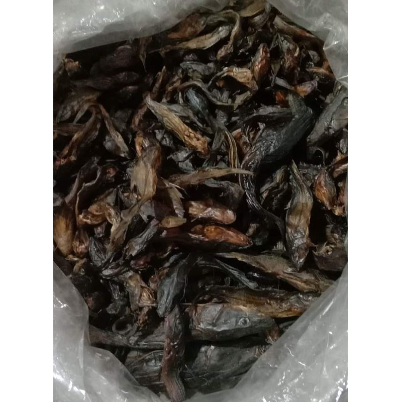 

ikan kering salai bauang