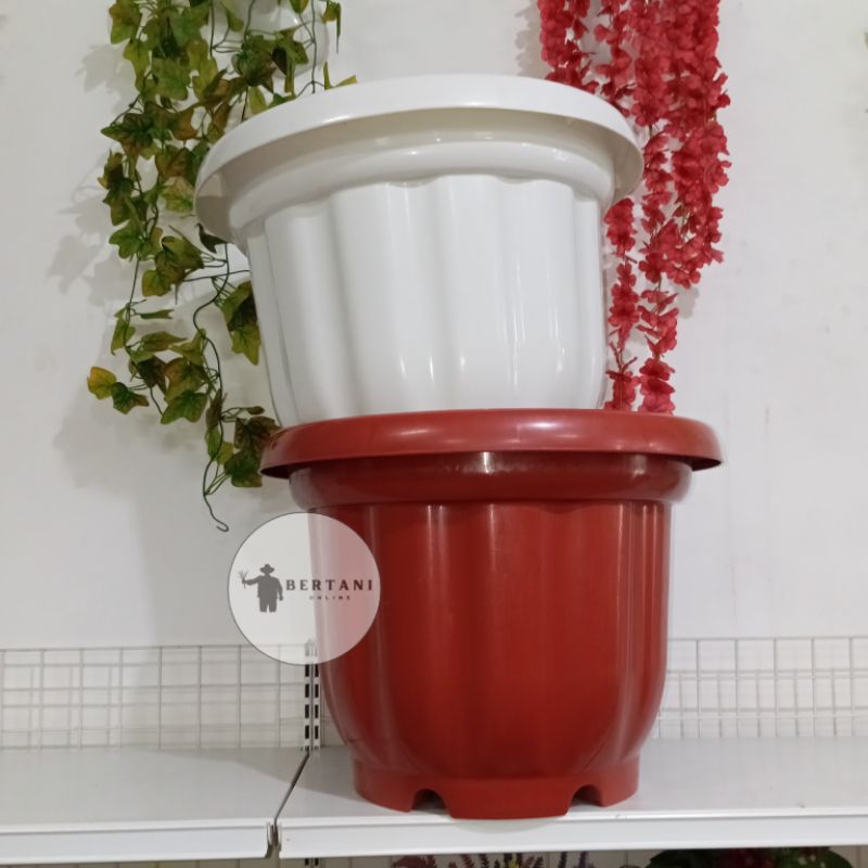 Pot Bigmom Ukuran 50 Pot Besar
