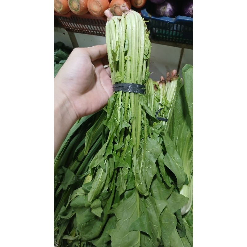 

paling/bayam Jepang 500grm PROMO