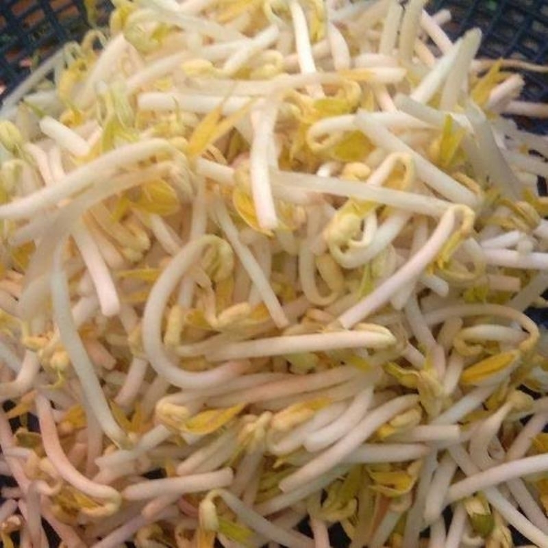 

Tauge Petik Bersih 250 gr