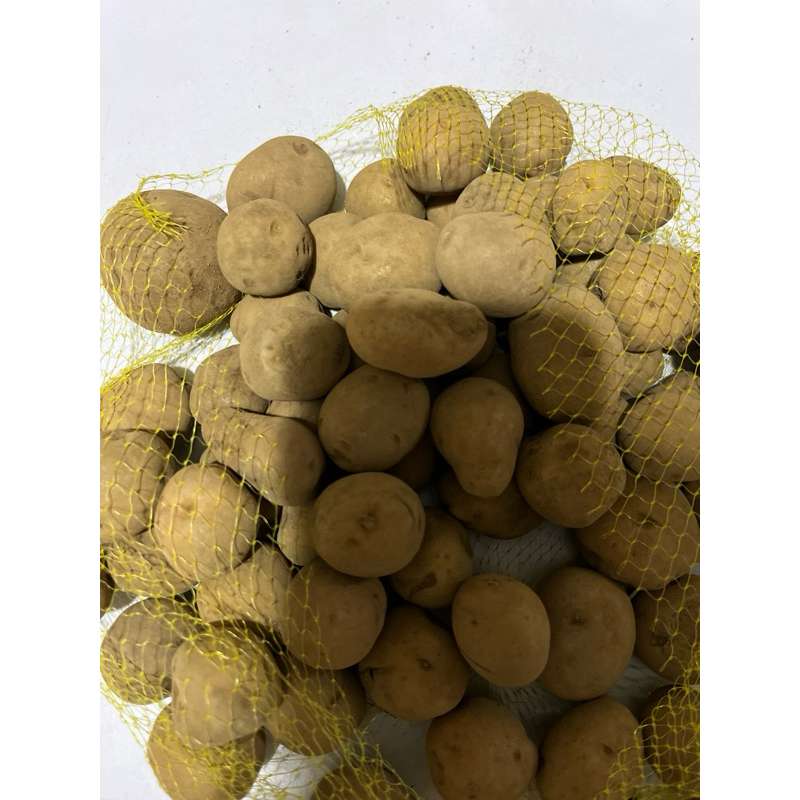 

Kentang Kuning Mini