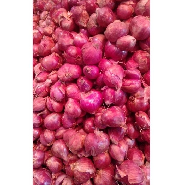 

Bawang Merah Daerah /500 gram