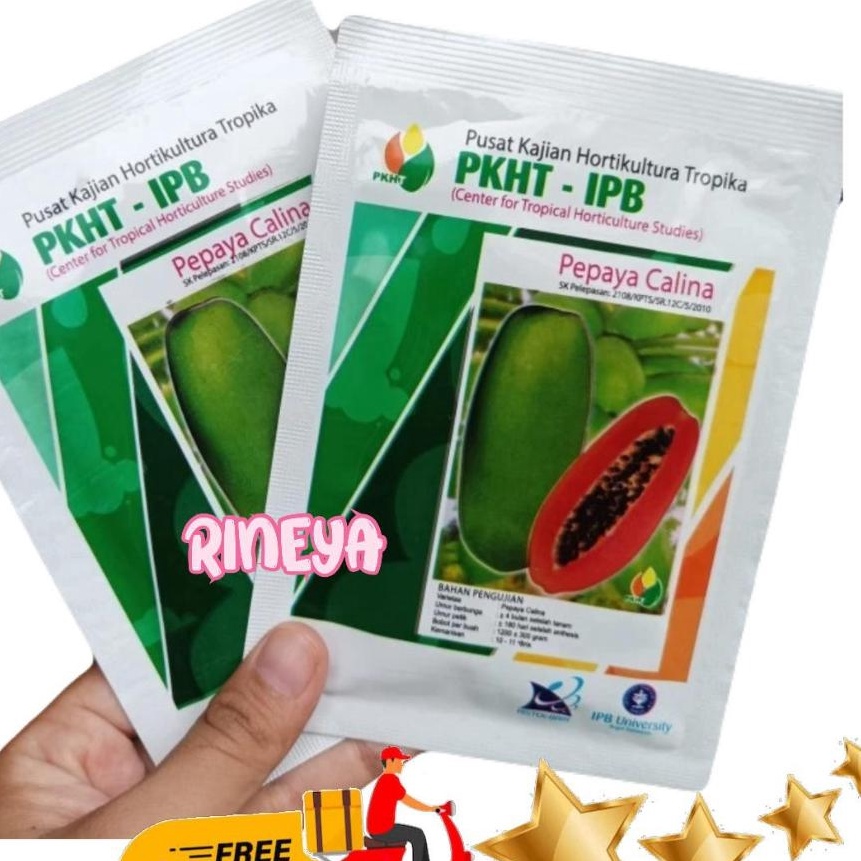 Top BENIH BIBIT PEPAYA CALINA CALIFORNIA PKHT IPB ISI 25 neto 5 GRAM