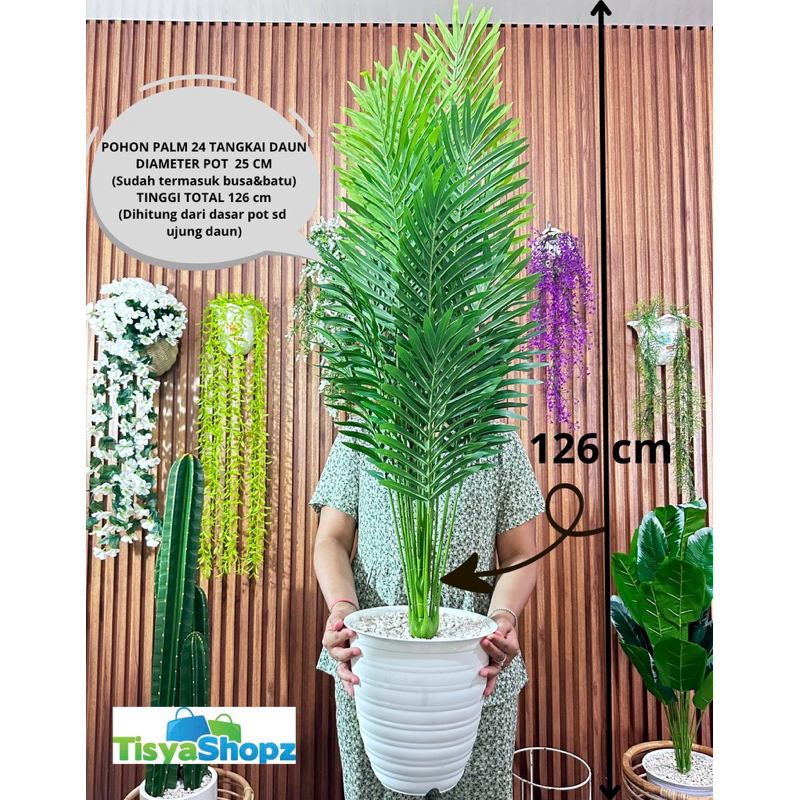 Paket Pohon Pisang + Pot 25cm