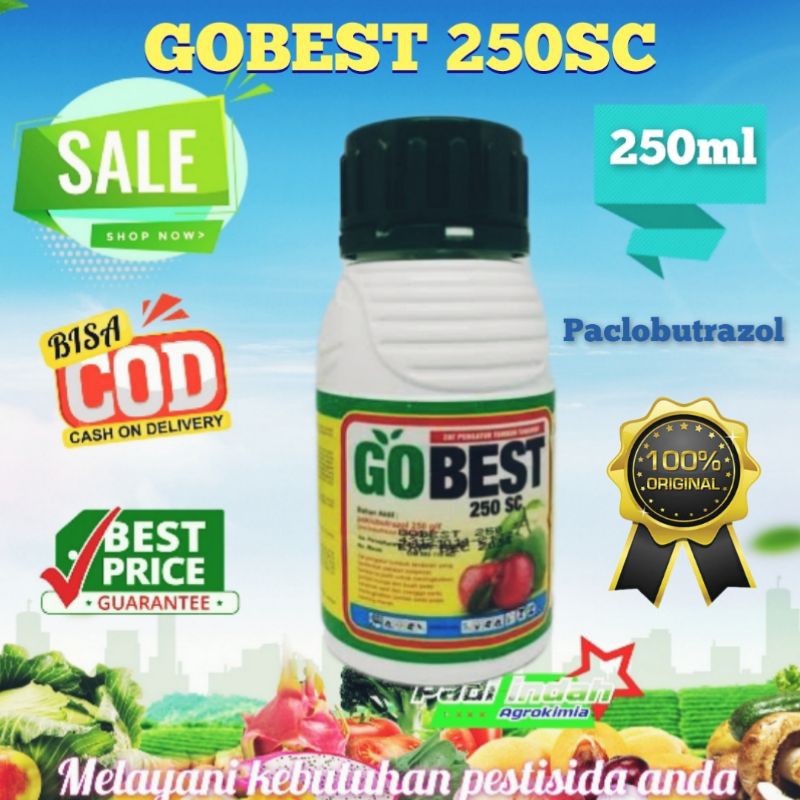 Gobest 250 ML - ( paclobutrazol 250 g/l ) ZPT