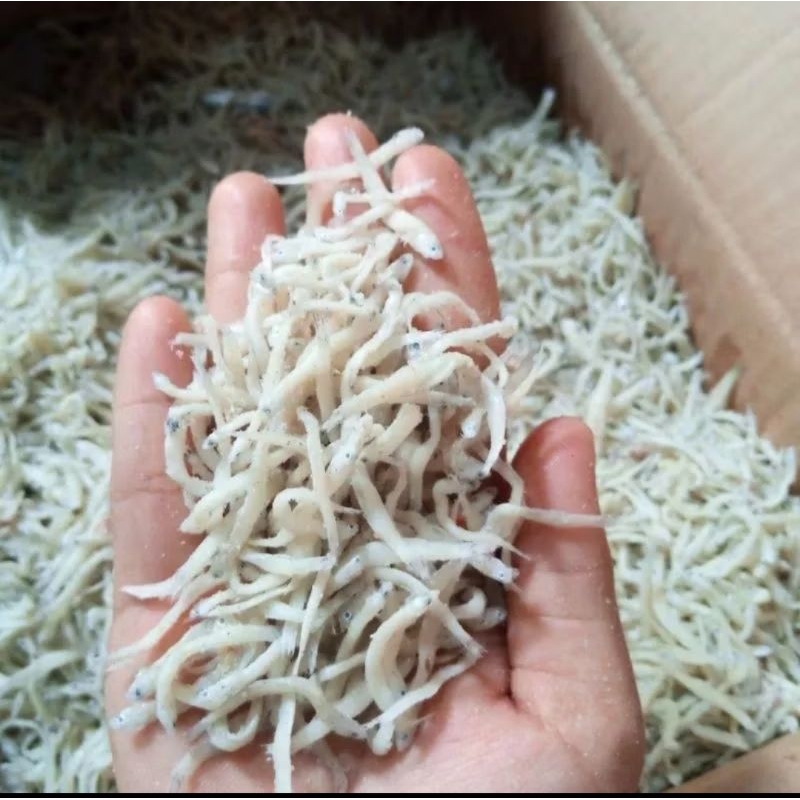 

ikan teri medan / ikan teri touge 500gr
