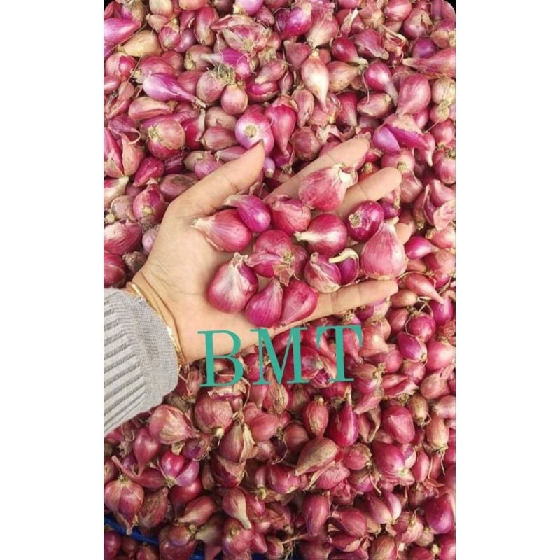 

BAWANG MERAH BREBES SUPER 1 KG