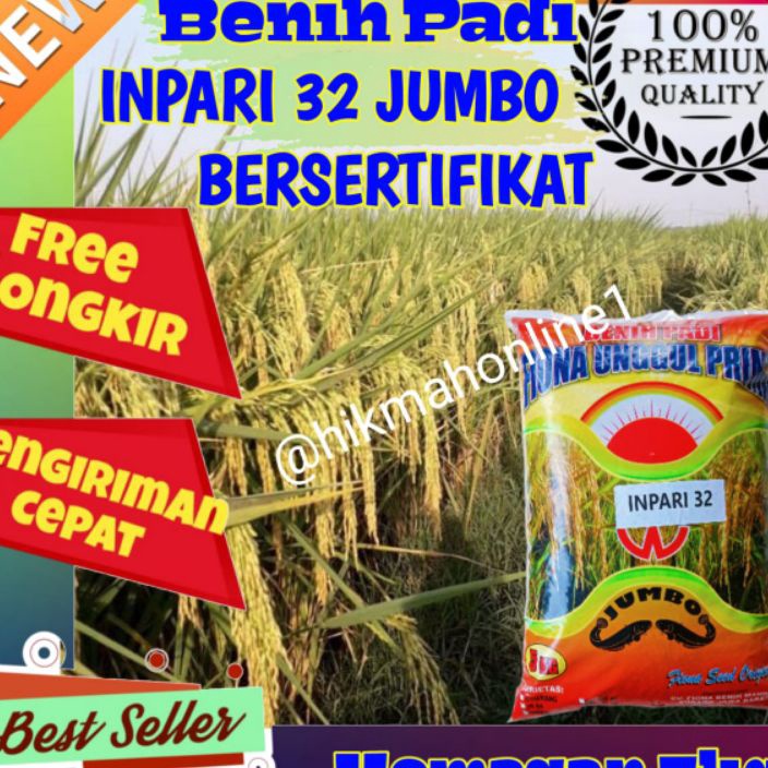 KI3 Benih padi Inpari 32 Jumbo Bersertifikat Label ungu kemasan 5kg