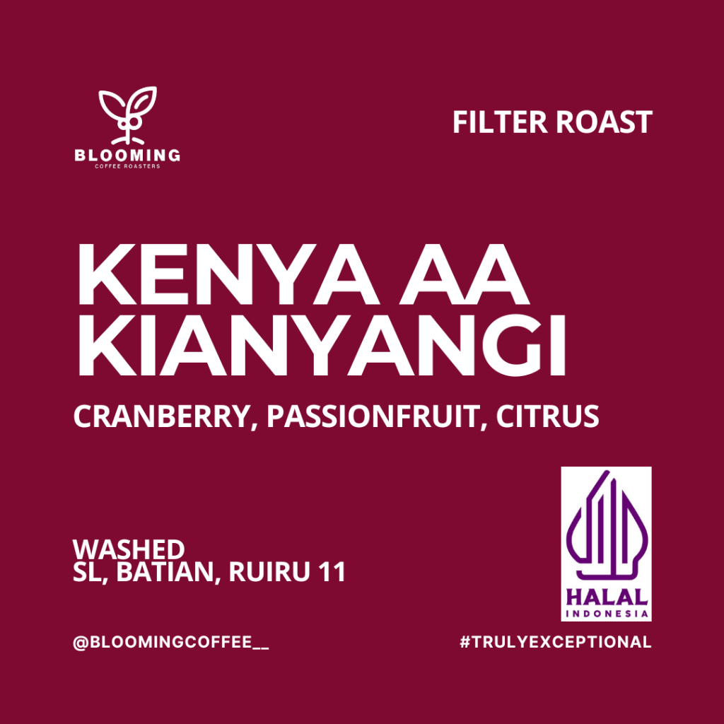 

Kenya Washed | Filter Roast | Blooming Coffee Biji Kopi Arabica