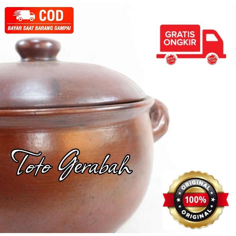 PROMO PANCI TANAH LIAT 20 CM PANCI JAMU PANCI GUDEG PANCI LIWET NATURAL ALAMI