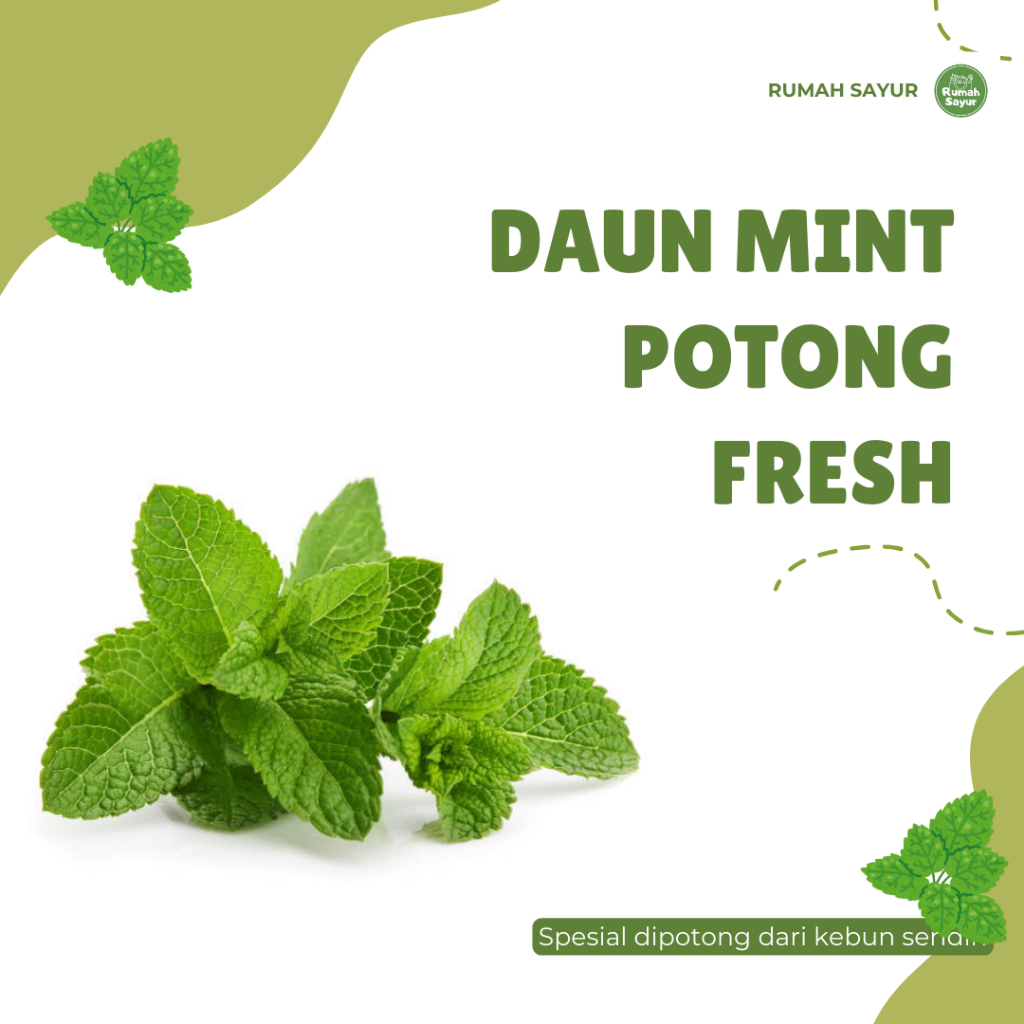 

DAUN MINT POTONG 50GR/DAUN MINT SEGAR POTONG