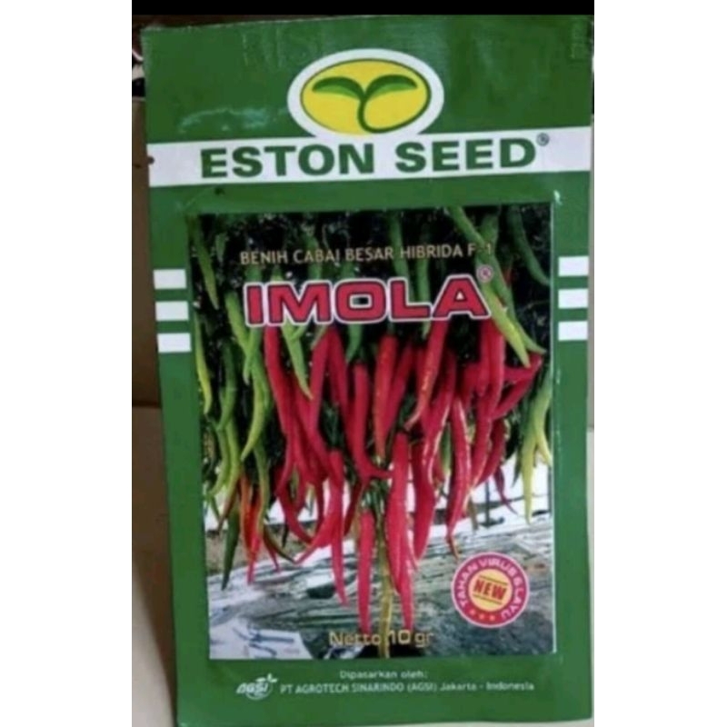 Benih cabe keriting IMOLA f1 10 grm