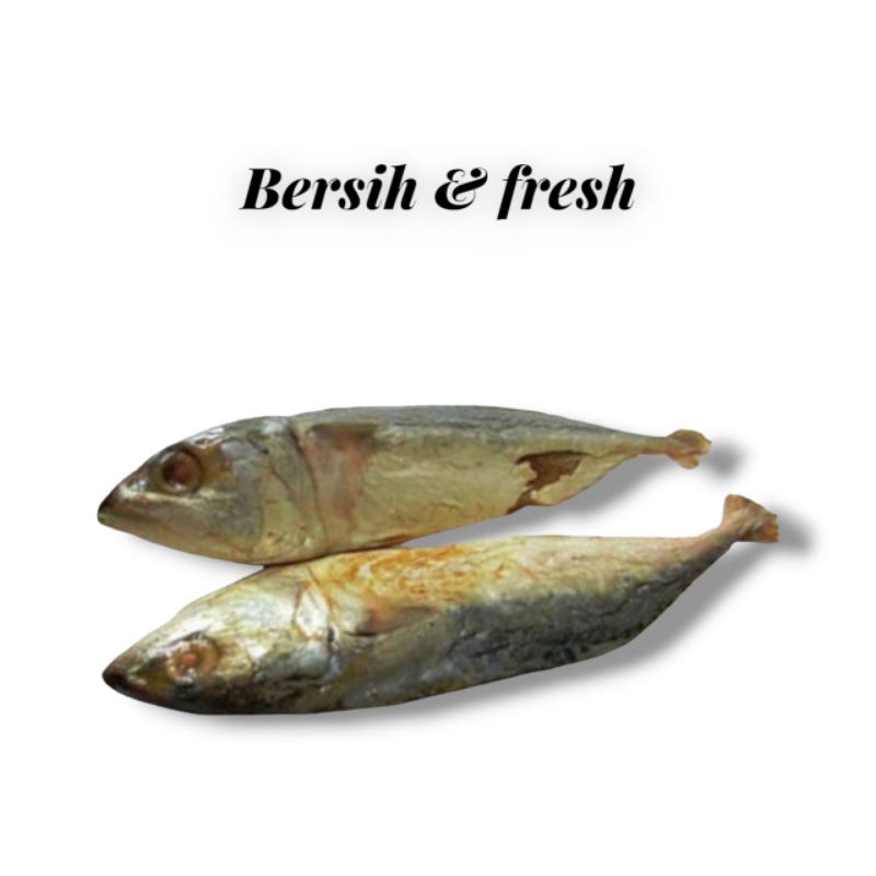

Ikan Asin Peda putih 250 Gram