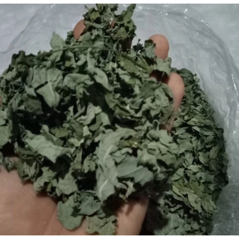 

Daun Katuk Kering 100gr Rempah Herbal Alami