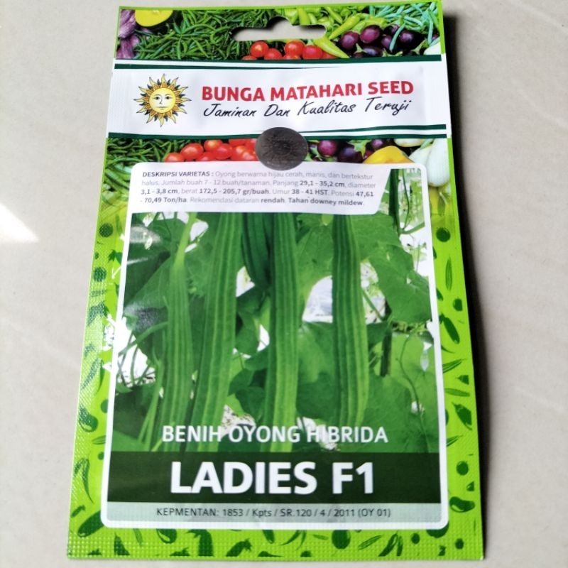 BIBIT BENIH OYONG LADIES F1 20 BUTIR CAP BUNGA MATAHARI