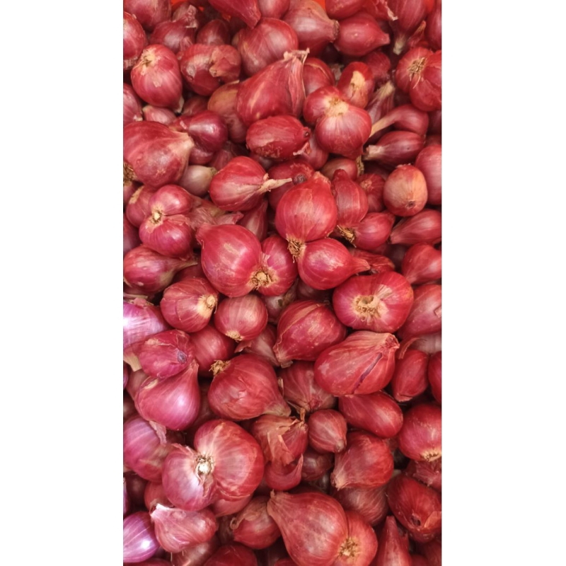 

BAMER Bawang Merah Murah [250gr]