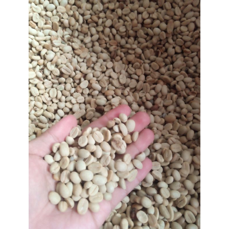 

GABAH ARABICA GARUT 1 KG FULL WASH