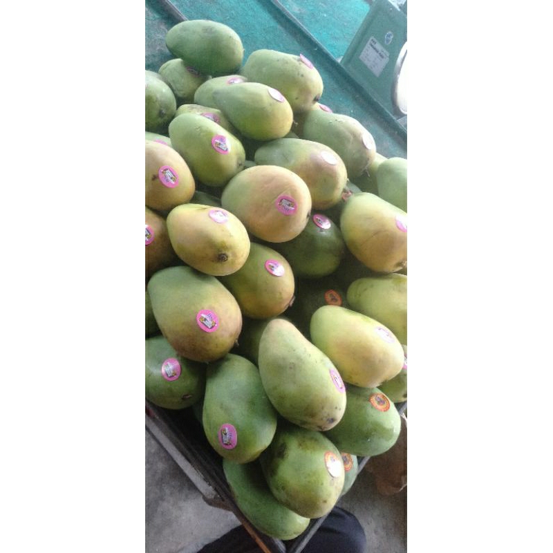 

Mangga Manis