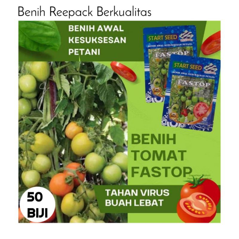 Reepack 50 Biji Tomat FASTOP | Benih Tomat Super Unggul | Benih Tomat Besar | Tomat Buah| Benih Sayu
