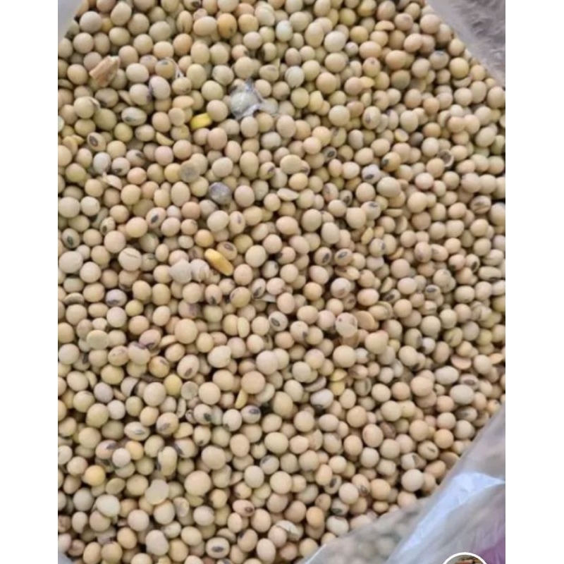 

kacang kedelai import 1kg