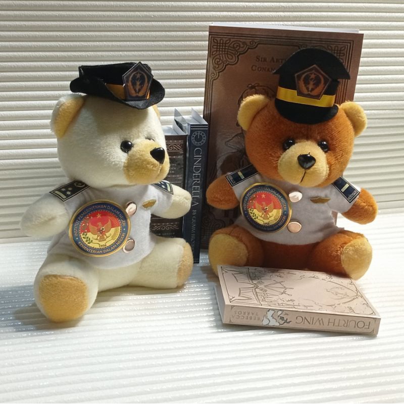 TEDDANDFRIEND Boneka Profesi IPDN Custom Lengkap untuk Pelantikan Praja