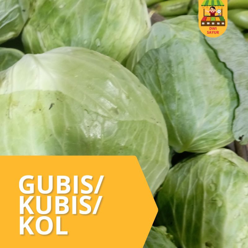 

Gubis/Kubis/Kol Segar 250g, 500g, 1kg