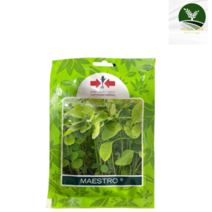 

Maestro Bayam Isi 26.000 Butir