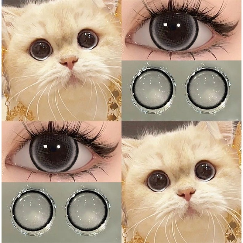 Lensa kontak warna seri gadis Rusia Freshlady Lensa kontak berdiameter 15MM dengan larutan lensa ber