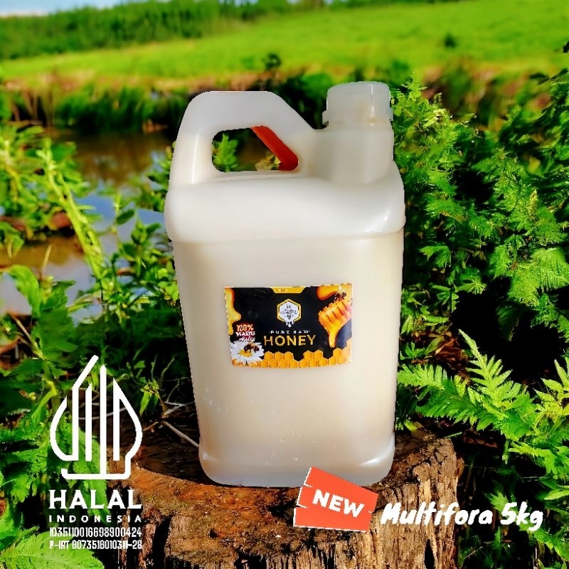 

MADU ASLI MULTIFLORA KEMASAN 5KG 100% DR LEBAH MELIEFERAH