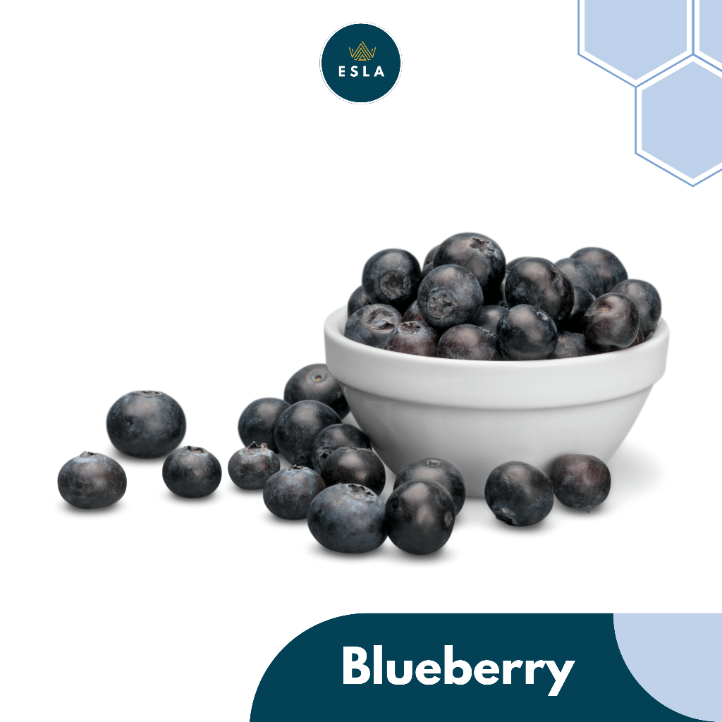 

BLUEBERRY 125 Gr I Buah Fresh dan Premium - ESLA