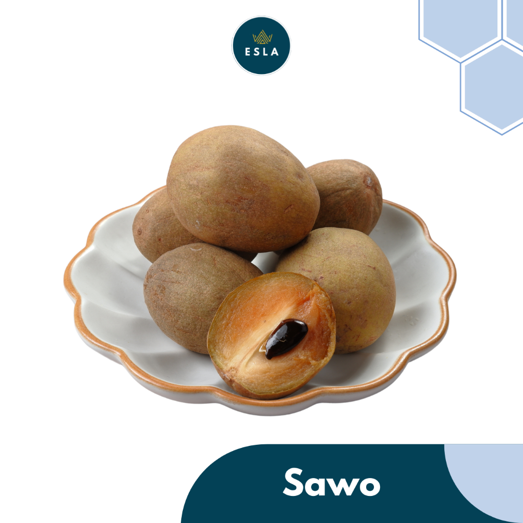 

SAWO 1 KG I Buah Fresh dan Premium - ESLA