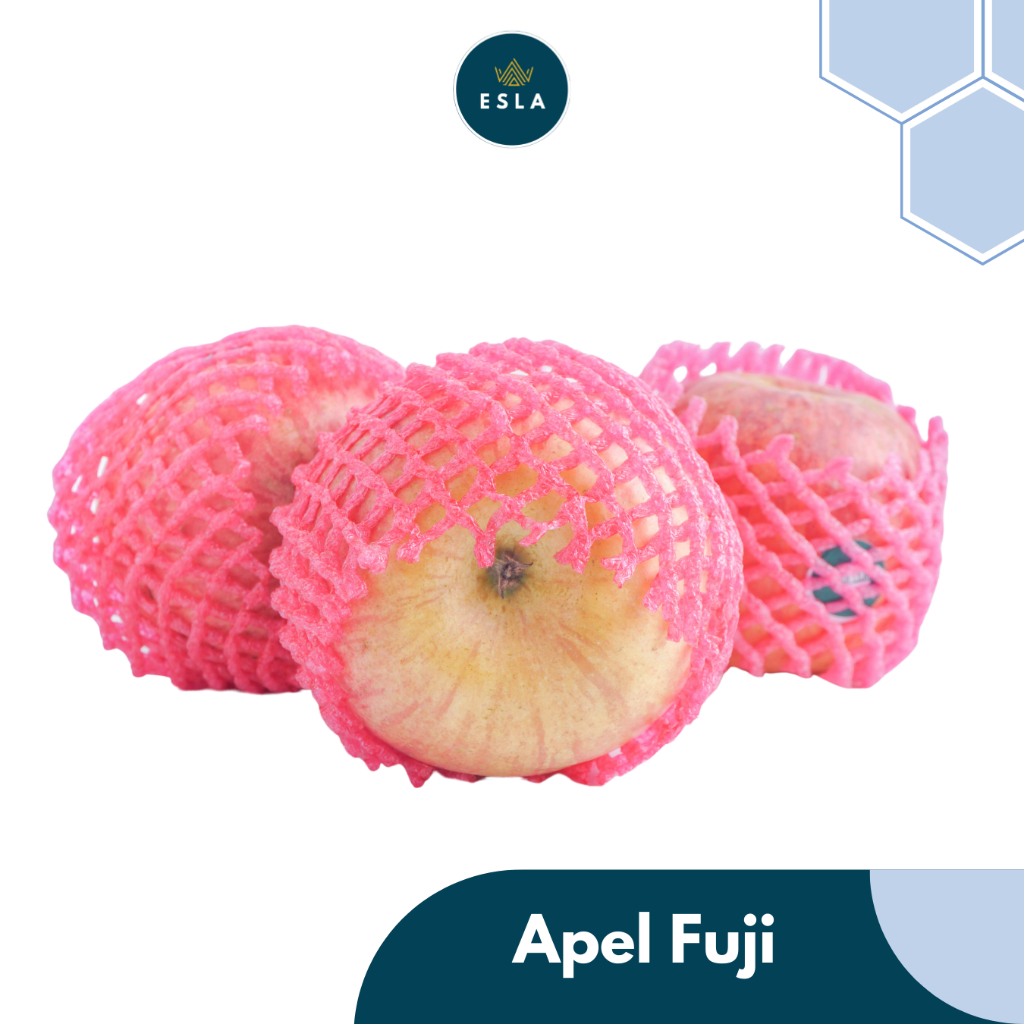 

APEL FUJI I Buah Fresh dan Premium - ESLA