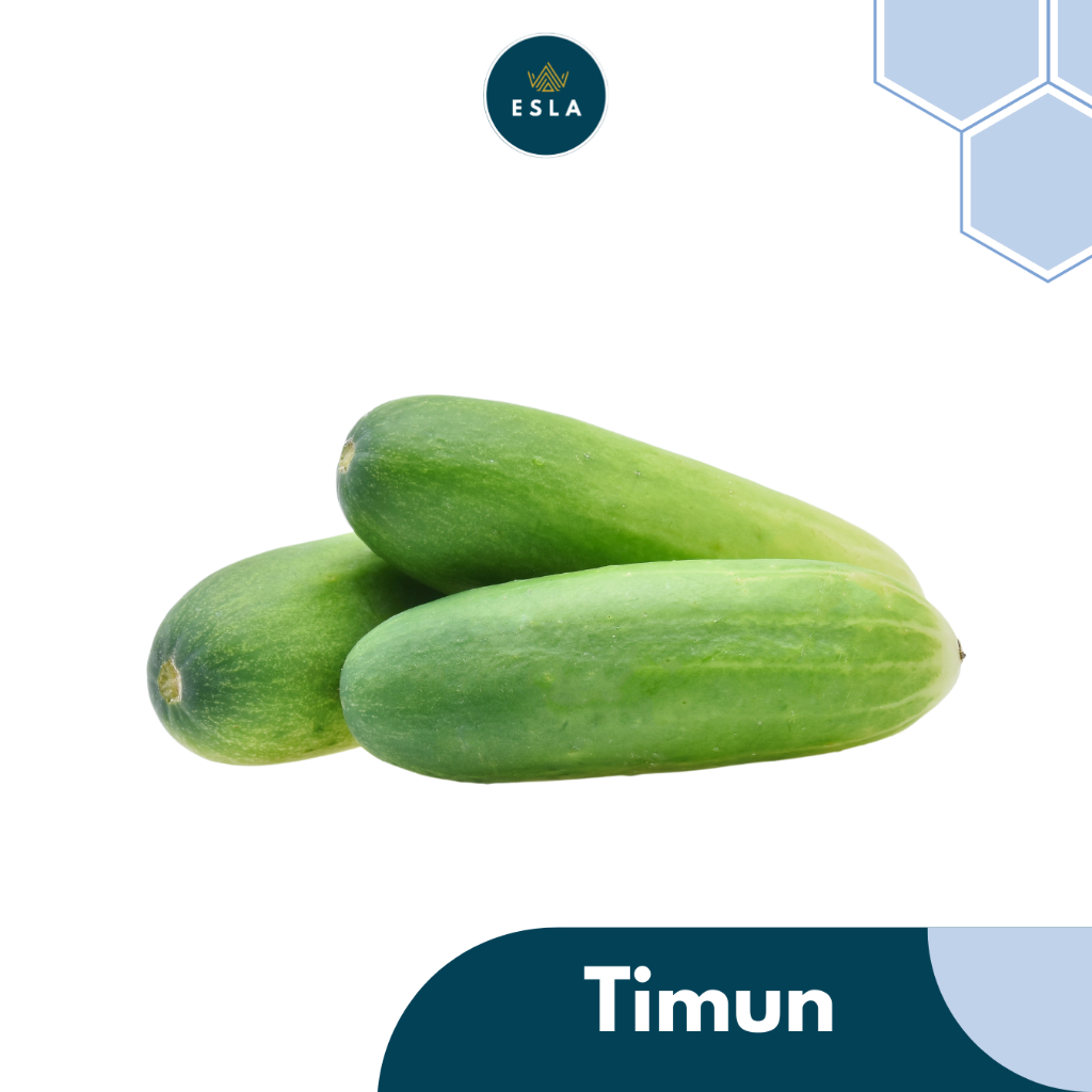 

TIMUN I Sayur Fresh dan Premium - ESLA