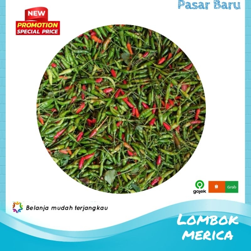 

Lombok Merica / Cabe Merica • Murah | Pasar Baru Makassar