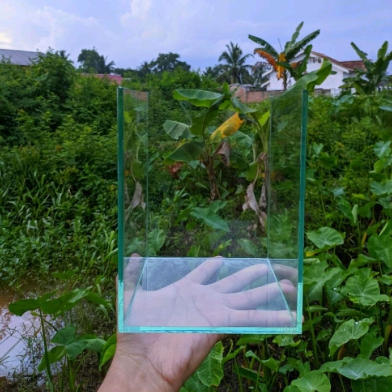 15x15x20 Aquarium Ikan Hias