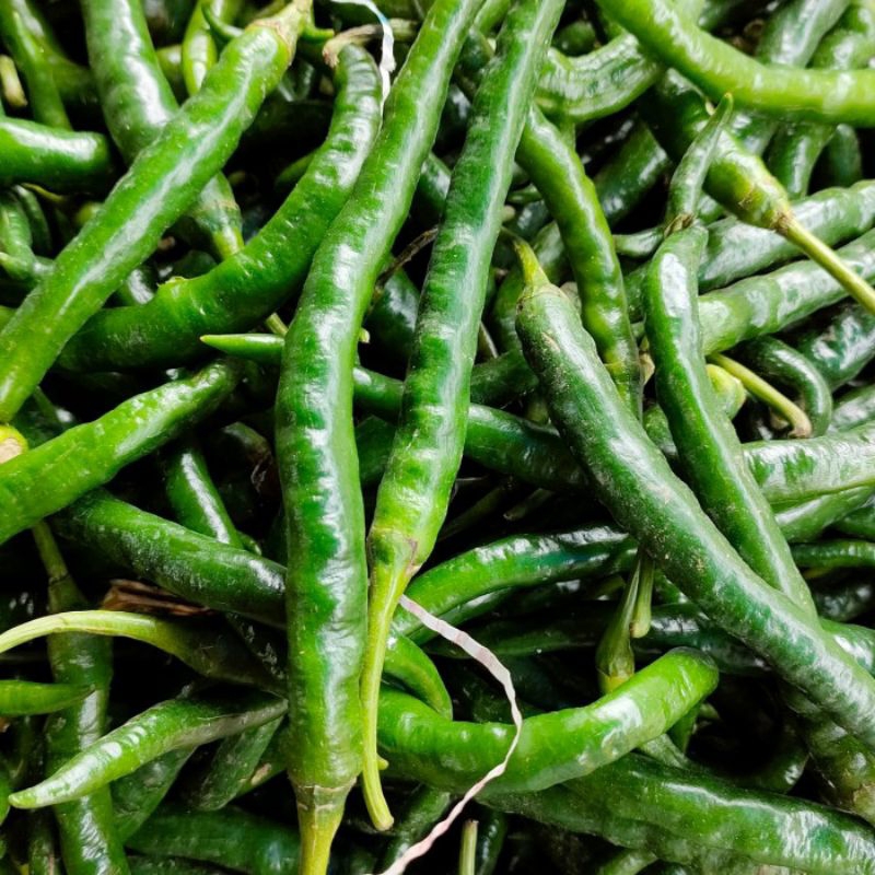 

cabe hijau keriting fresh 500 gr / cabe keriting hijau segar